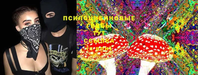 Галлюциногенные грибы Psilocybine cubensis  hydra зеркало  Билибино  купить наркотик 